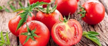 Những sai lầm tai hại khi ăn cà chua có thể khiến bạn ngộ độc, suy giảm chức năng thận