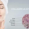 Collagen là gì? Có phải là ‘thần dược’ cho sức khỏe và làn da?
