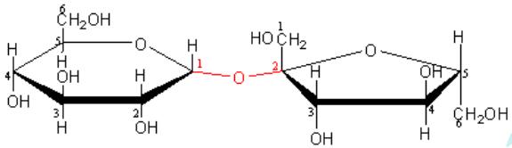 Cấu tạo của đường mía saccharose - kiến thức về công thức hóa học của đường