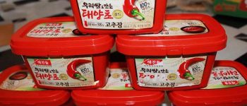 Hộp tương ớt Hàn Quốc Haechandle 500g