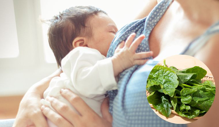 Sau sinh ăn rau mồng tơi được không? Nên kết hợp với thực phẩm nào? 2