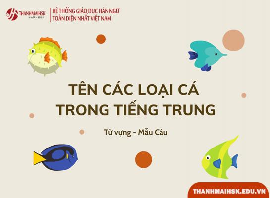Từ vựng về các loại cá trong tiếng Trung
